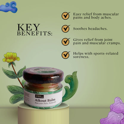 Bipha Ayurveda Aikout Pain Balm - 20 gms