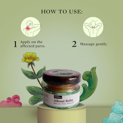 Bipha Ayurveda Aikout Pain Balm - 20 gms