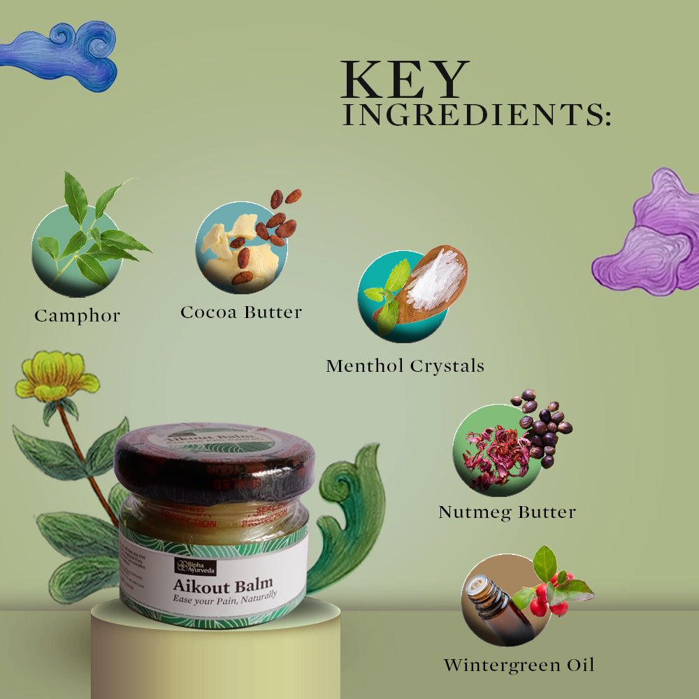 Bipha Ayurveda Aikout Pain Balm - 20 gms