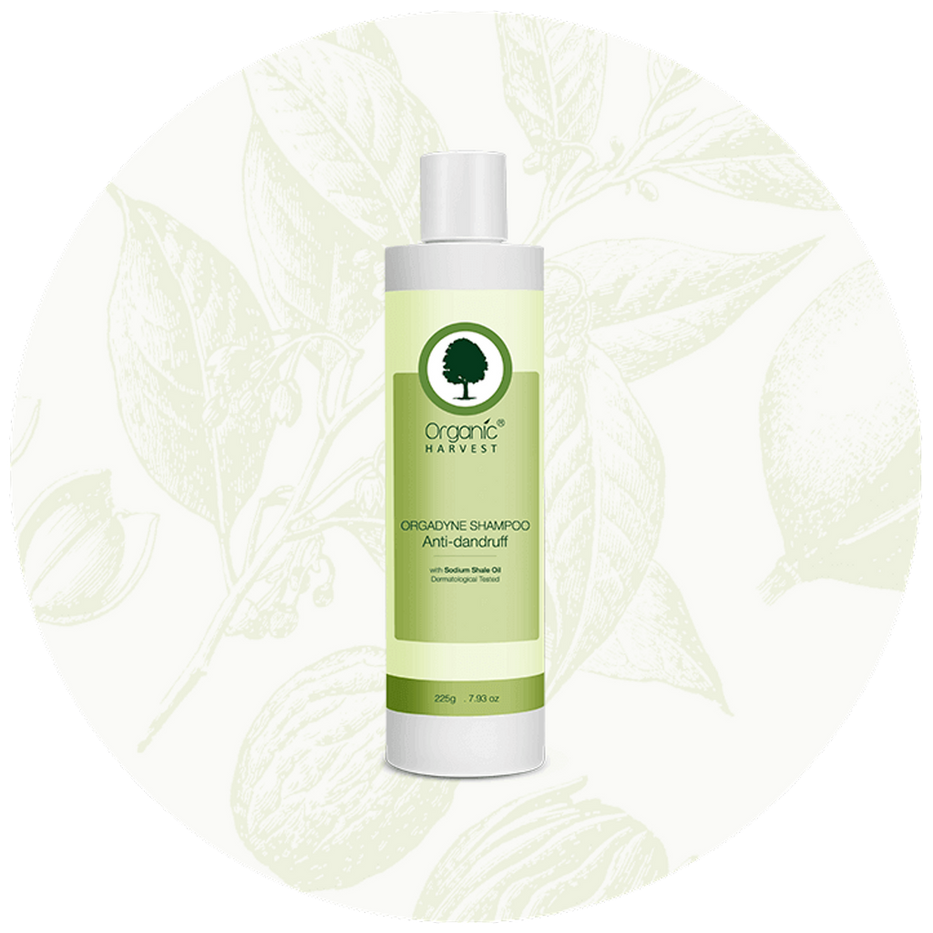 Organic Harvest Orgadyne Anti-Dandruff Shampoo - 225 ml