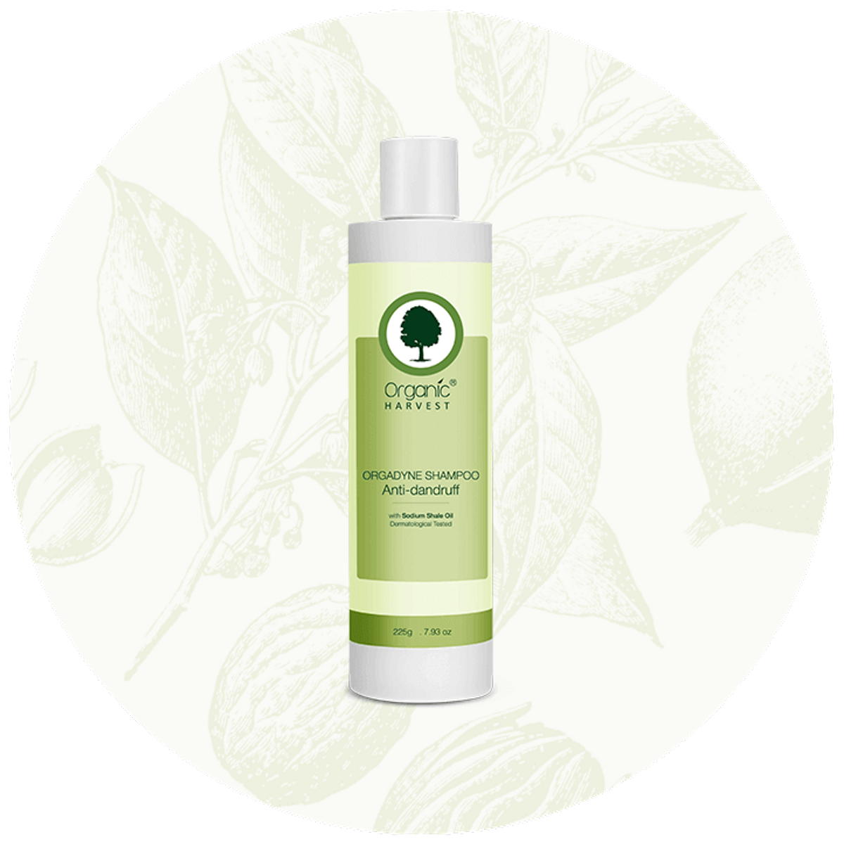 Organic Harvest Orgadyne Anti-Dandruff Shampoo - 225 ml