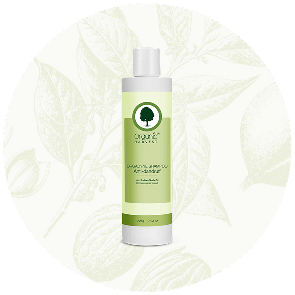 Organic Harvest Orgadyne Anti-Dandruff Shampoo - 225 ml