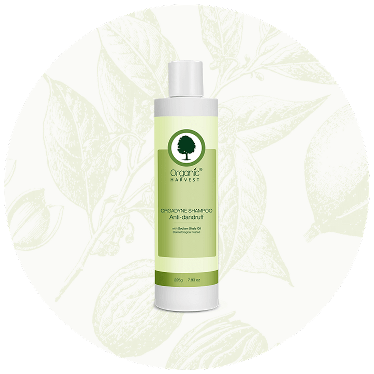 Organic Harvest Orgadyne Anti-Dandruff Shampoo - 225 ml