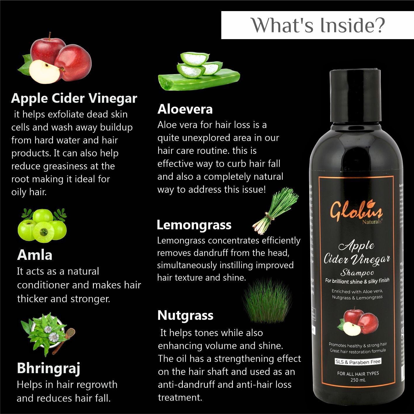 Globus Naturals Apple Cider Vinegar Shampoo - 250 ml