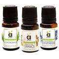 Anveya Aroma Essential Oils Gift Set