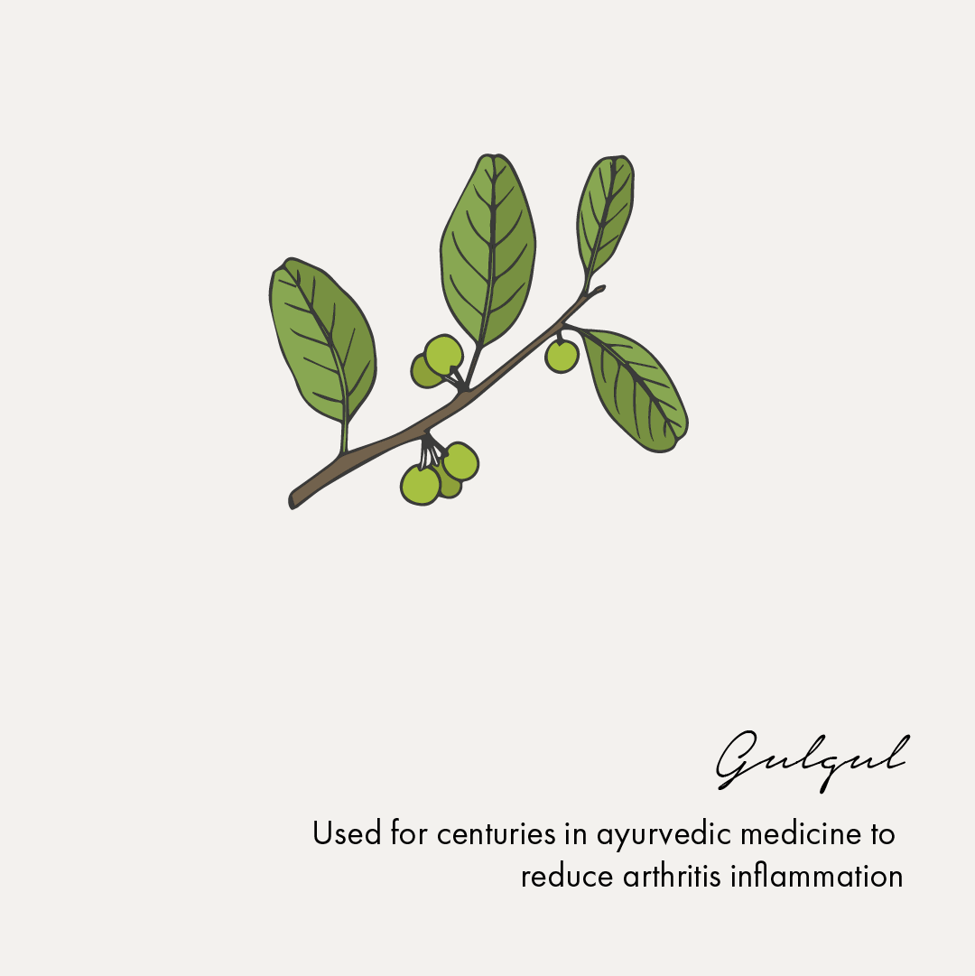 Birdsong Pain Relief Oil