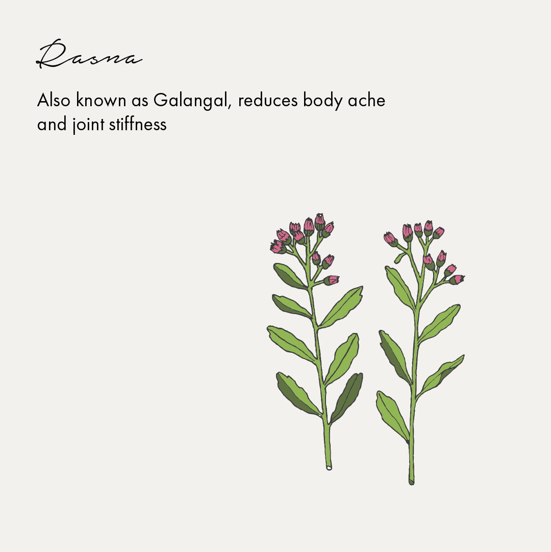 Birdsong Pain Relief Oil