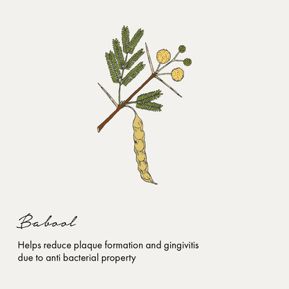 Birdsong Botanical Sea Salt and Spearmint Toothpaste