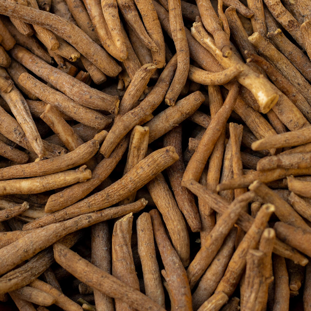 Satmya Fermented Ashwagandha Brew
