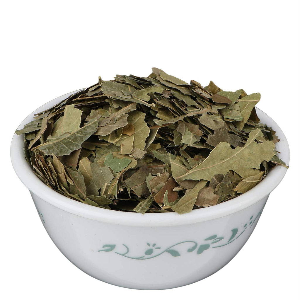 Yuvika Neem Patta Azadirachta Indica Neem Leaves