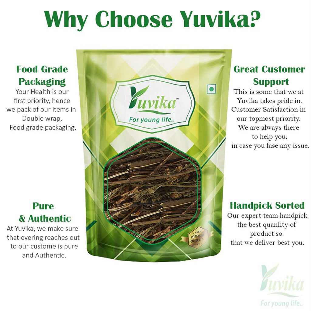 Yuvika Chiraita Asli - Chiraita Nepali - Enicostemma Littorale - Bitter Stick - Indian Gentian