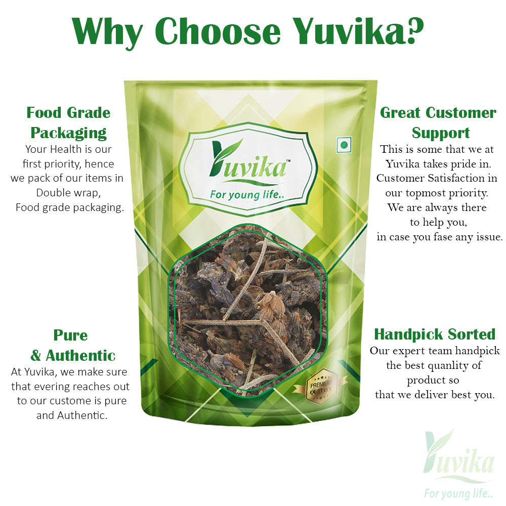 Yuvika Ustekhadoos Asli - Uste Khadus - Lavandula Stoechas - Arabian Lavende