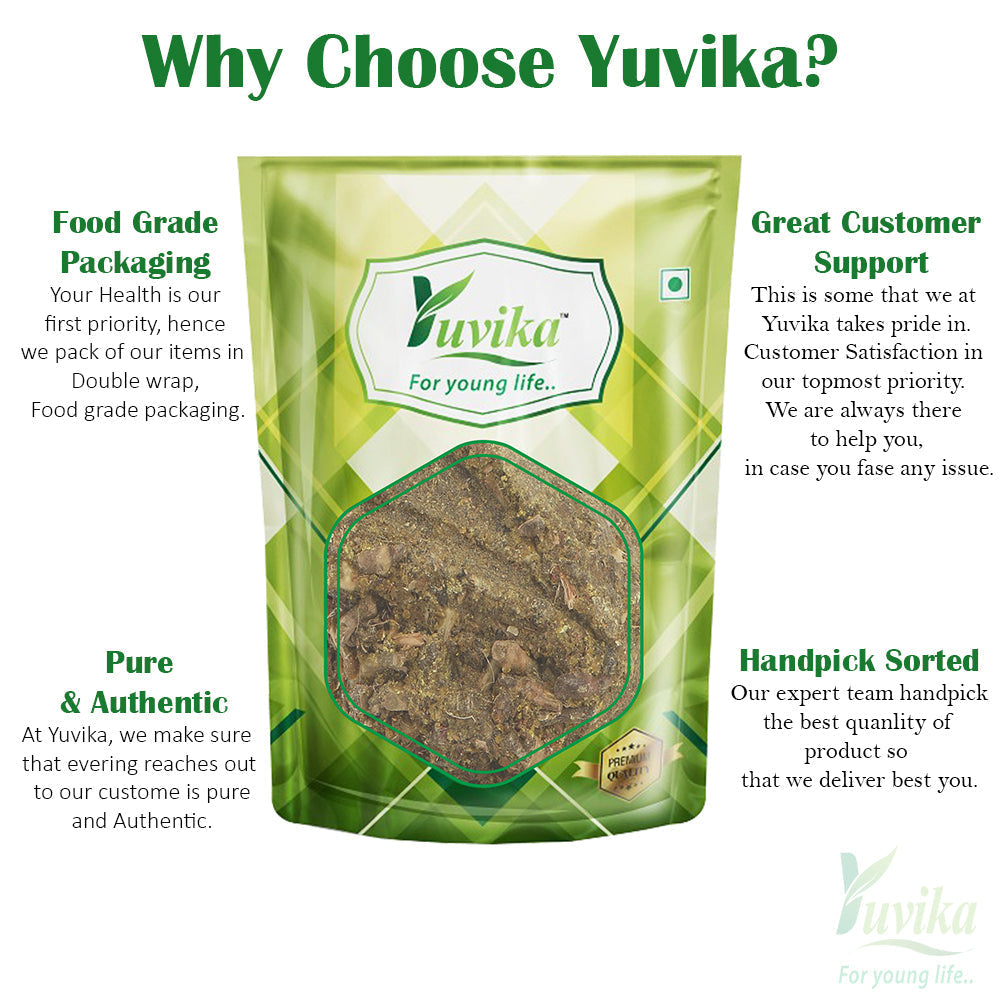 Yuvika Bhikamali Spl. - Gardenia Gummifera