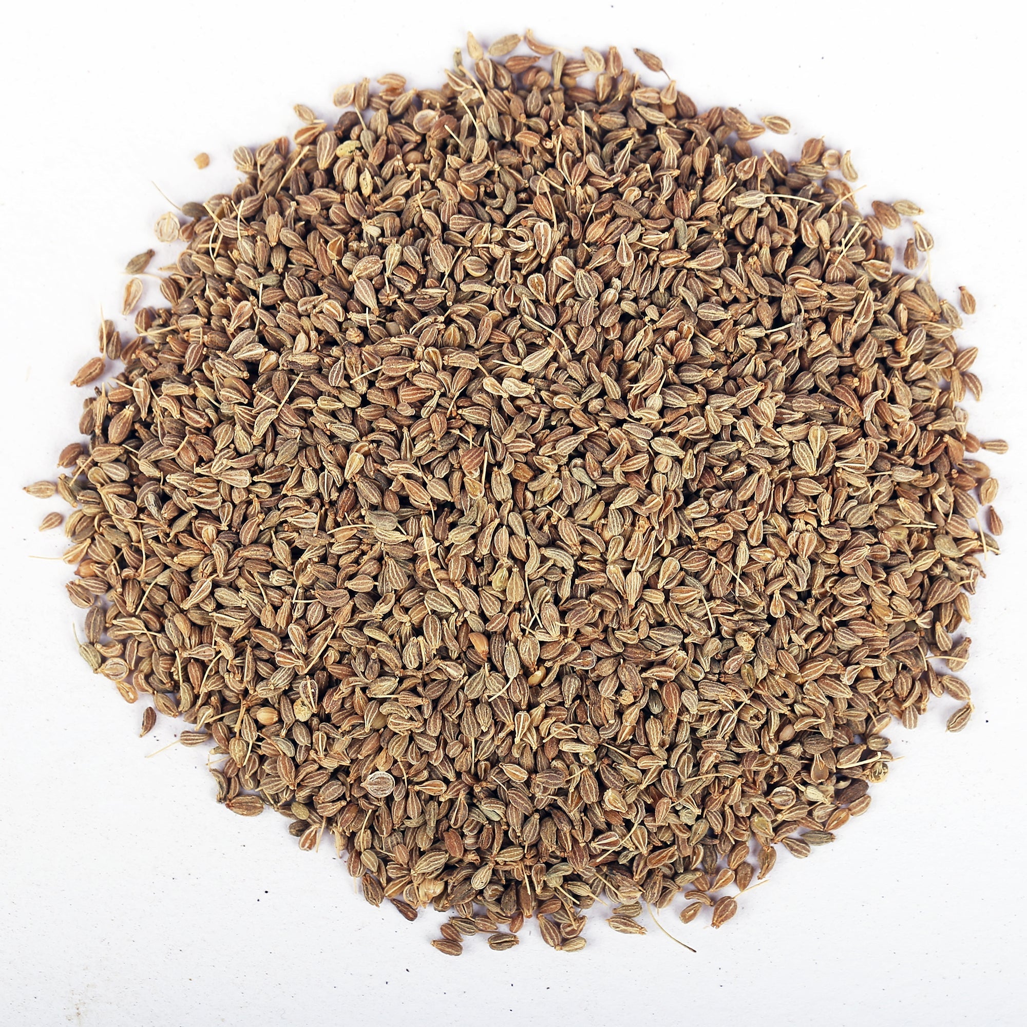 Yuvika Anesu Asli - Saunf Rome - Foeniculum Vulgare - fennel Fruit