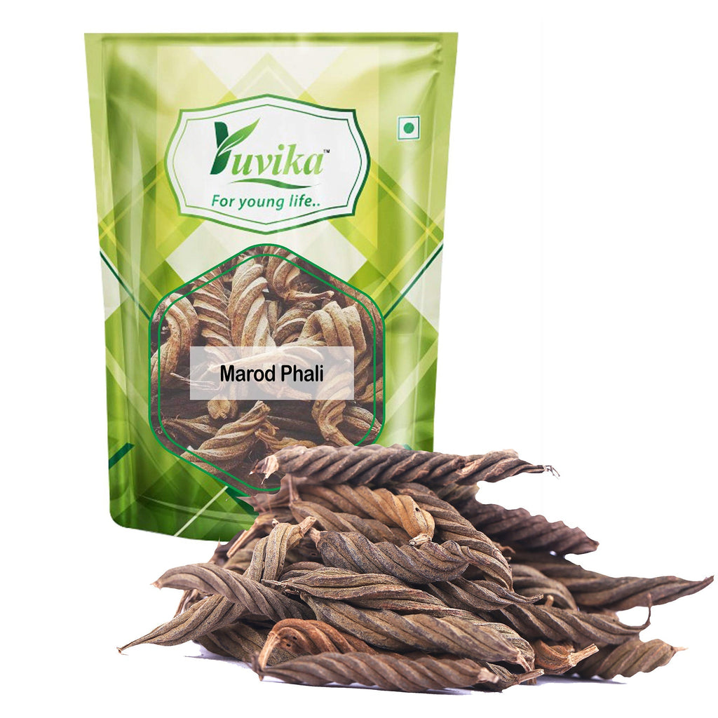 Yuvika Marod Phali - Marori - Helicteres Isora - Avaitini Screw Beans