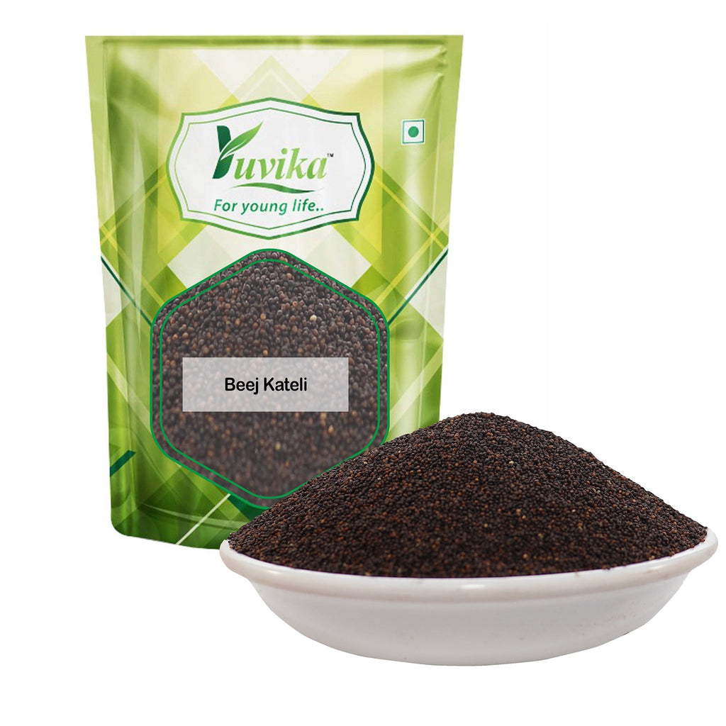 Yuvika Beej Kateli - Satyanasi ke Beej - Kateri Seeds - Kantakari - Katehri Beej