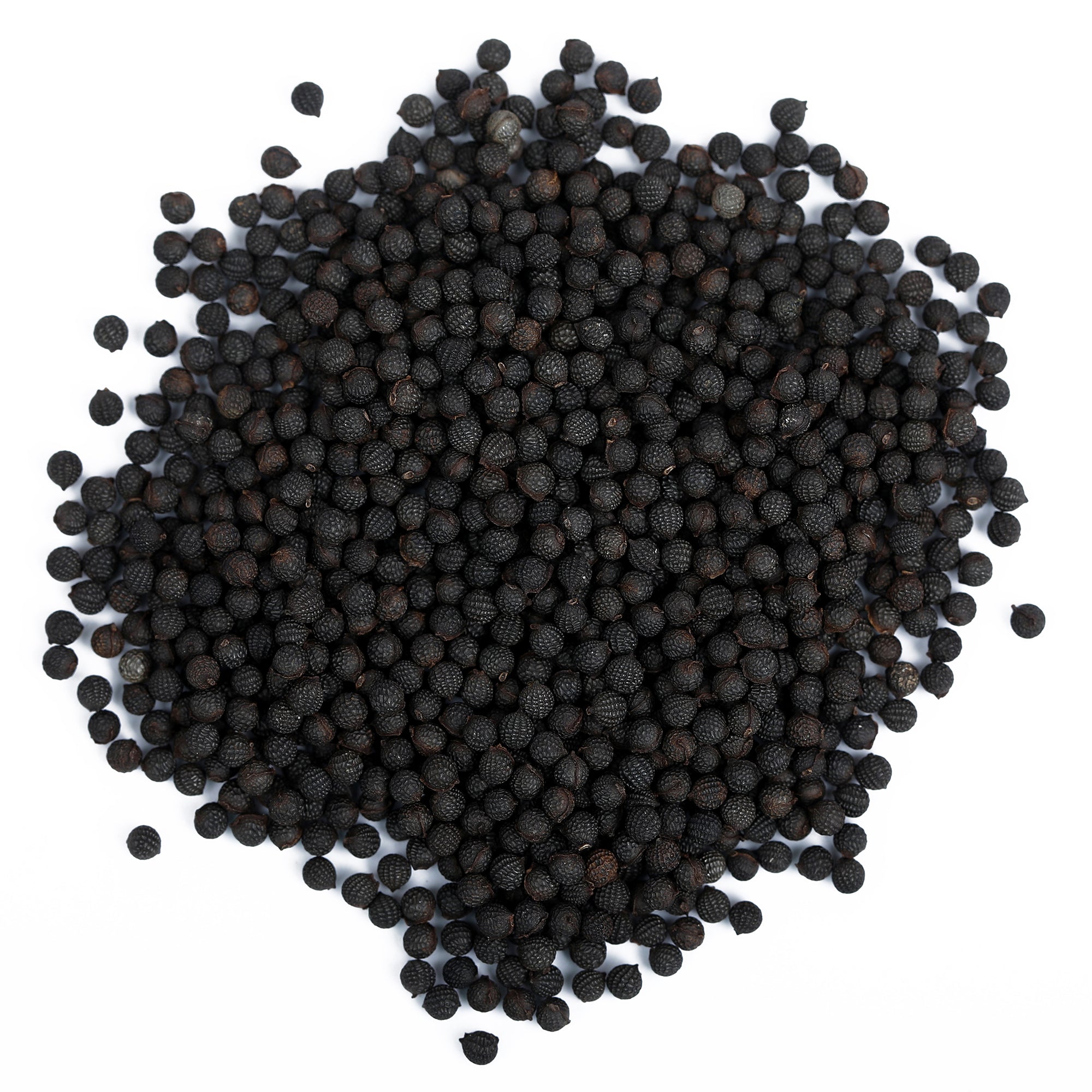 Yuvika Beej Kateli - Satyanasi ke Beej - Kateri Seeds - Kantakari - Katehri Beej