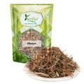 Yuvika Afteeyun - Aftiun - Afttimoon - Amar Bel - Aakash Bel - Cuscuta Reflexa - Dodder