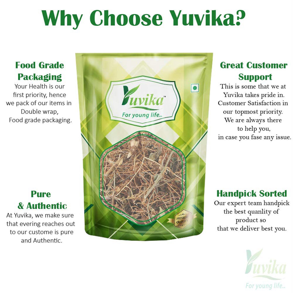 Yuvika Afteeyun - Aftiun - Afttimoon - Amar Bel - Aakash Bel - Cuscuta Reflexa - Dodder