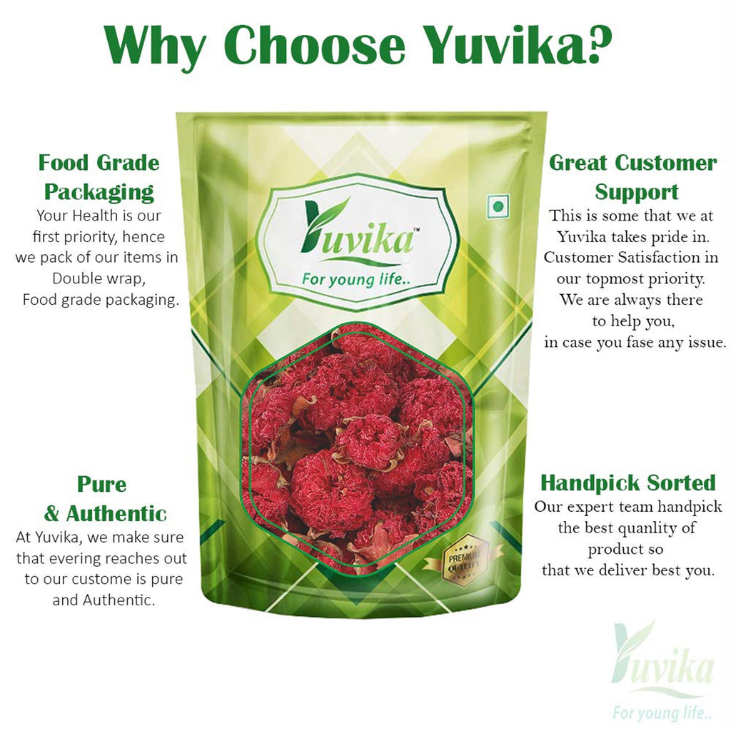Yuvika Gule Anar - Anar Ka Phool - Punica Granatum - Pomegranate Flower