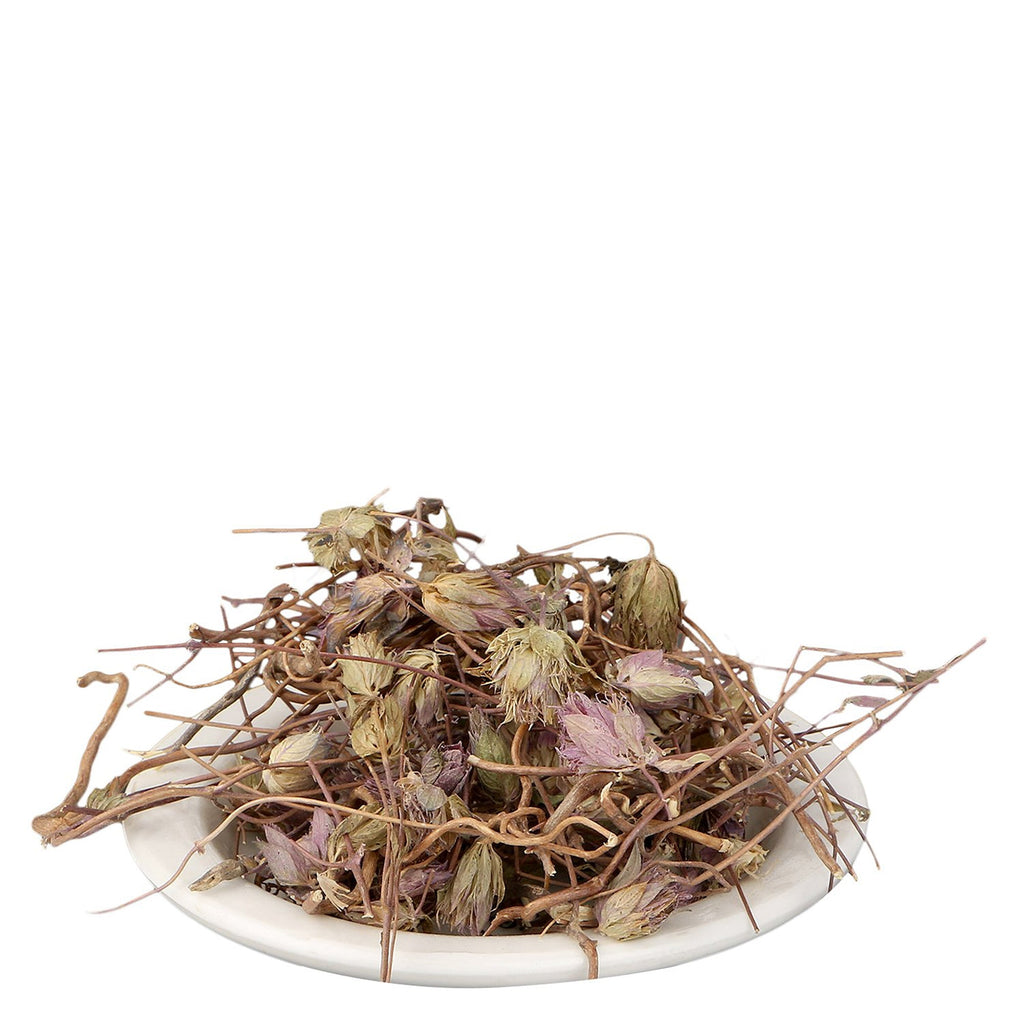 Yuvika Jufa - Zufa - Hyssopus Officinalis Linn - Hyssop - Issopo - Holy Herb