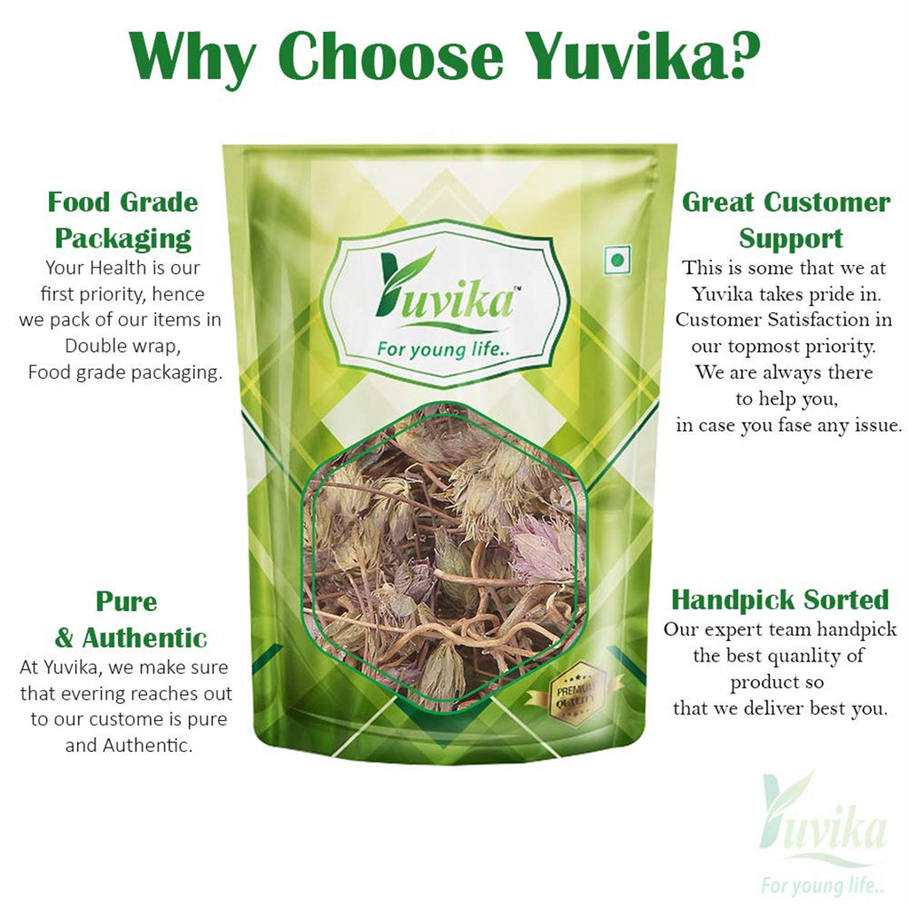 Yuvika Jufa - Zufa - Hyssopus Officinalis Linn - Hyssop - Issopo - Holy Herb