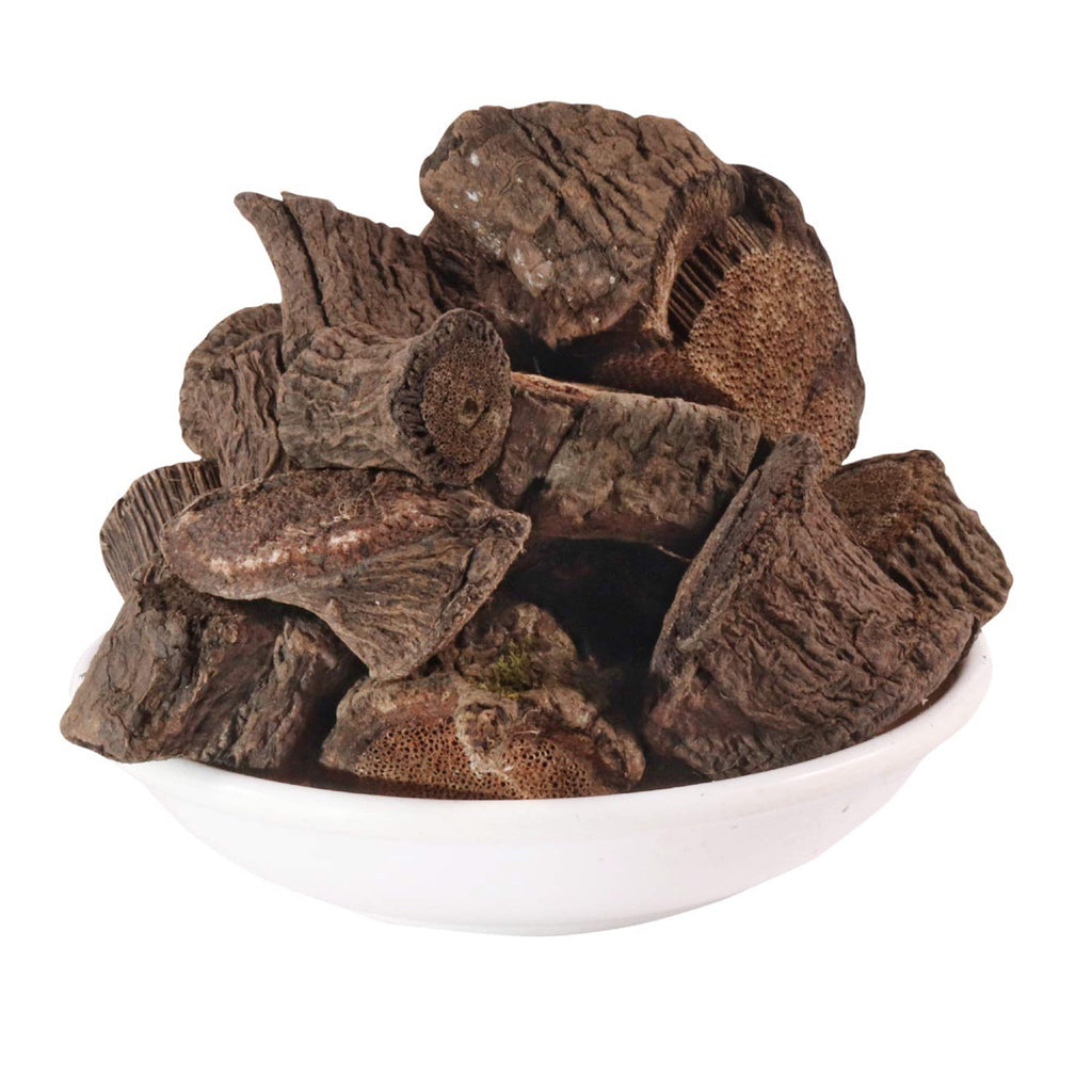 Yuvika Konch Ki Jadd - Kaunch Root - Kounch Jadd - Mucuna Root