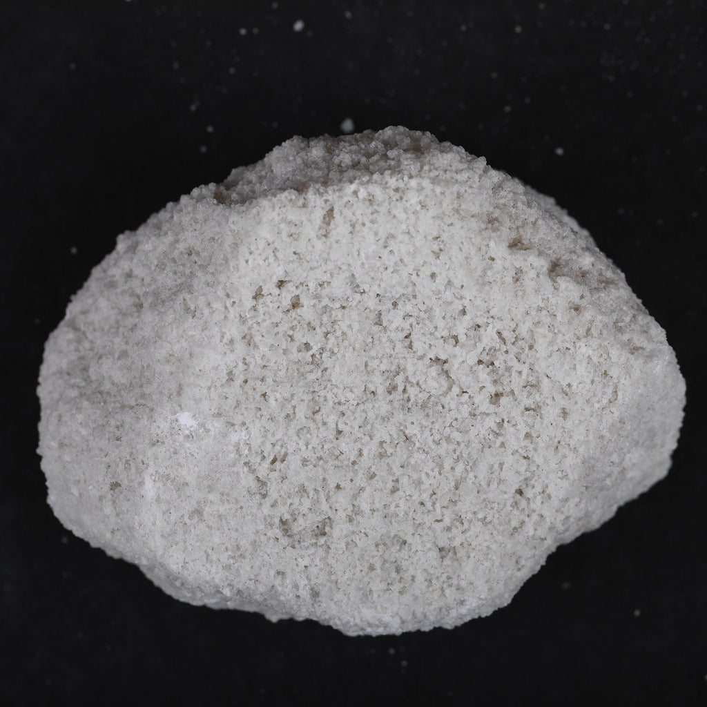 Yuvika Sajji Safed - Papad Khar - Salsola stocksii - Safad Sajji