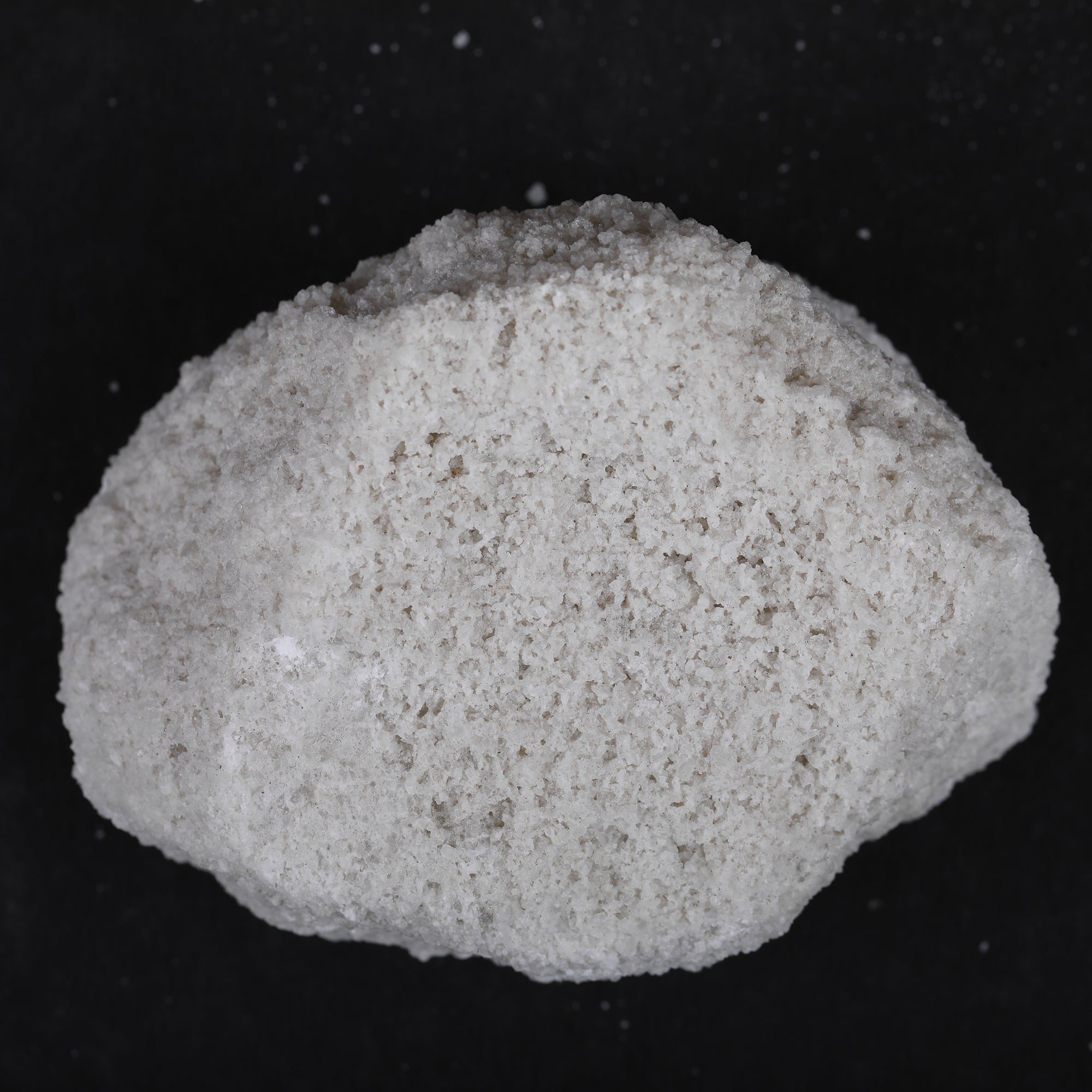 Yuvika Sajji Safed - Papad Khar - Salsola stocksii - Safad Sajji