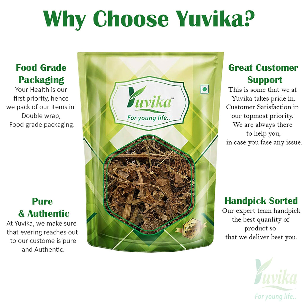 Yuvika Patol Patra - Patola - Trichosanthes Dioica - Pointed Gourd