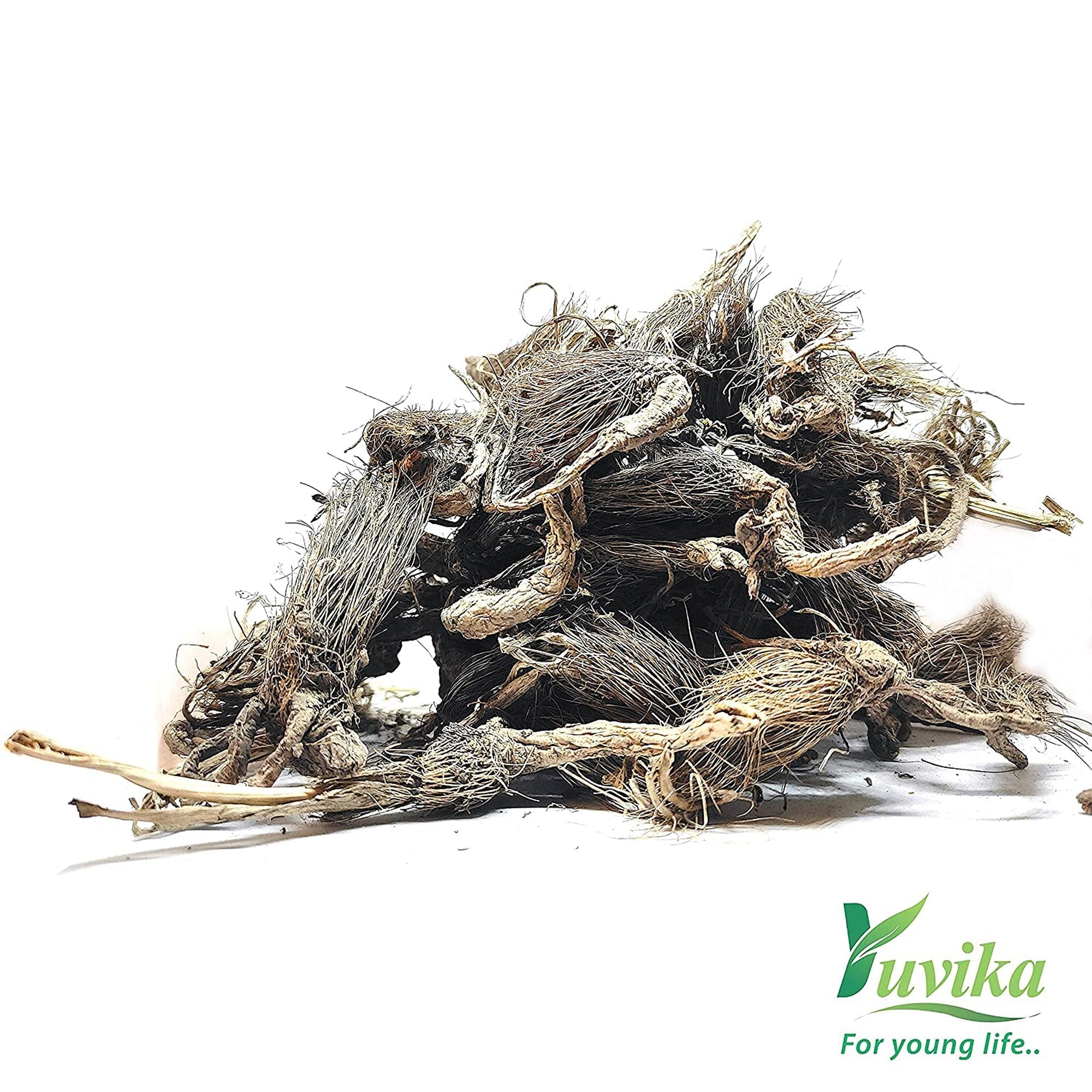 Yuvika Beg Karfas - Beg Karphas