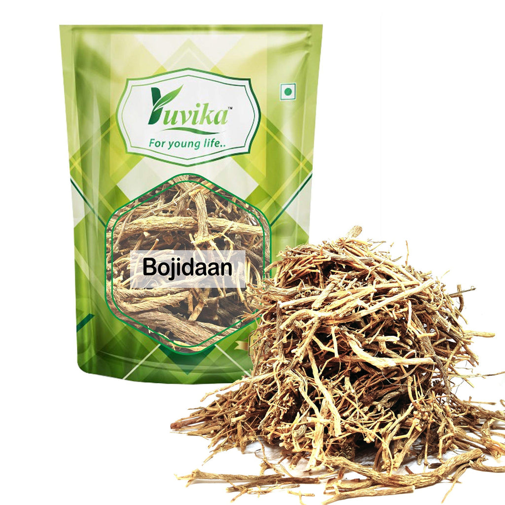 Yuvika Bojidaan - Tanacetum umbelliferum - Pyrethrum Indicum - Senega Roots