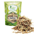 Yuvika Bojidaan - Tanacetum umbelliferum - Pyrethrum Indicum - Senega Roots