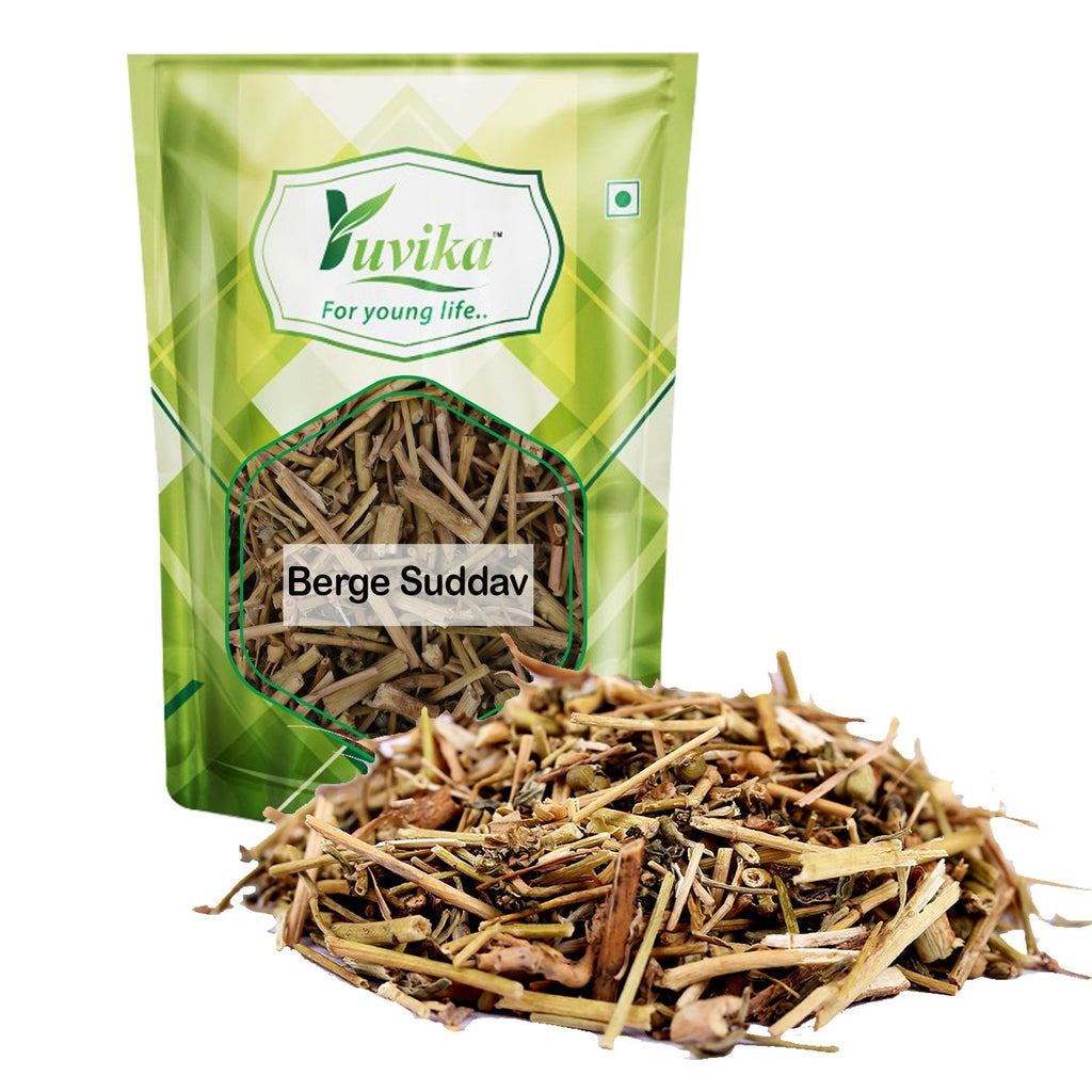 Yuvika Berge Suddav - Burge Suddab - Berge Sudab - Ruta Graveolens - Garden Rue