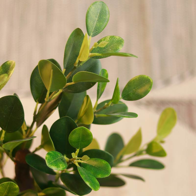 The Chinese Empire | Artificial Banyan Bonsai With Grey Pot