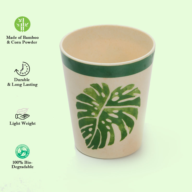 Bamboo Fibre Glasses | 380ml  | Set of 6 | Multiple Designs