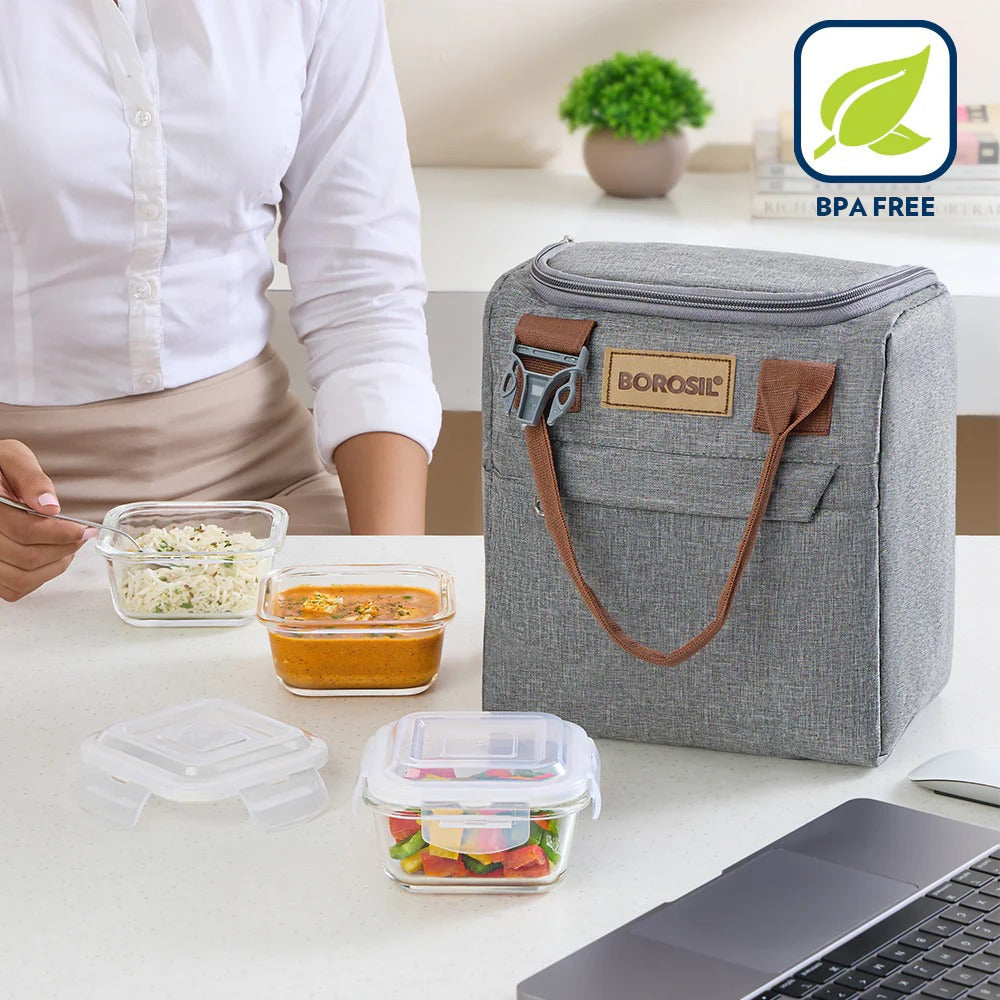 Borosil Gourmet Lunch Box Set