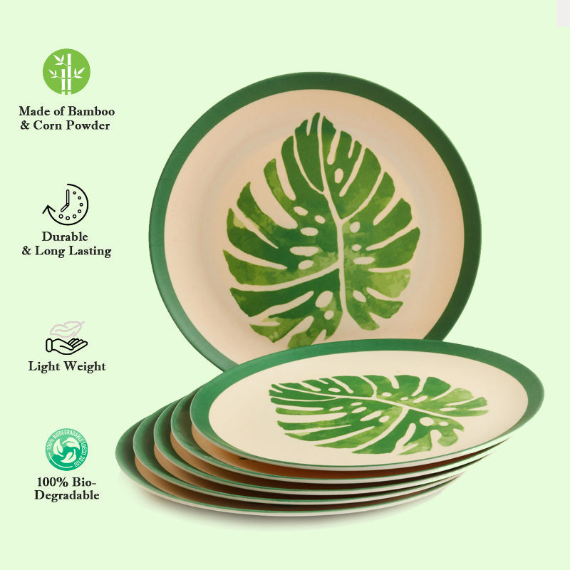 Bamboo Fibre Plate | 10 inches | Set of 6 | Multiple Designs