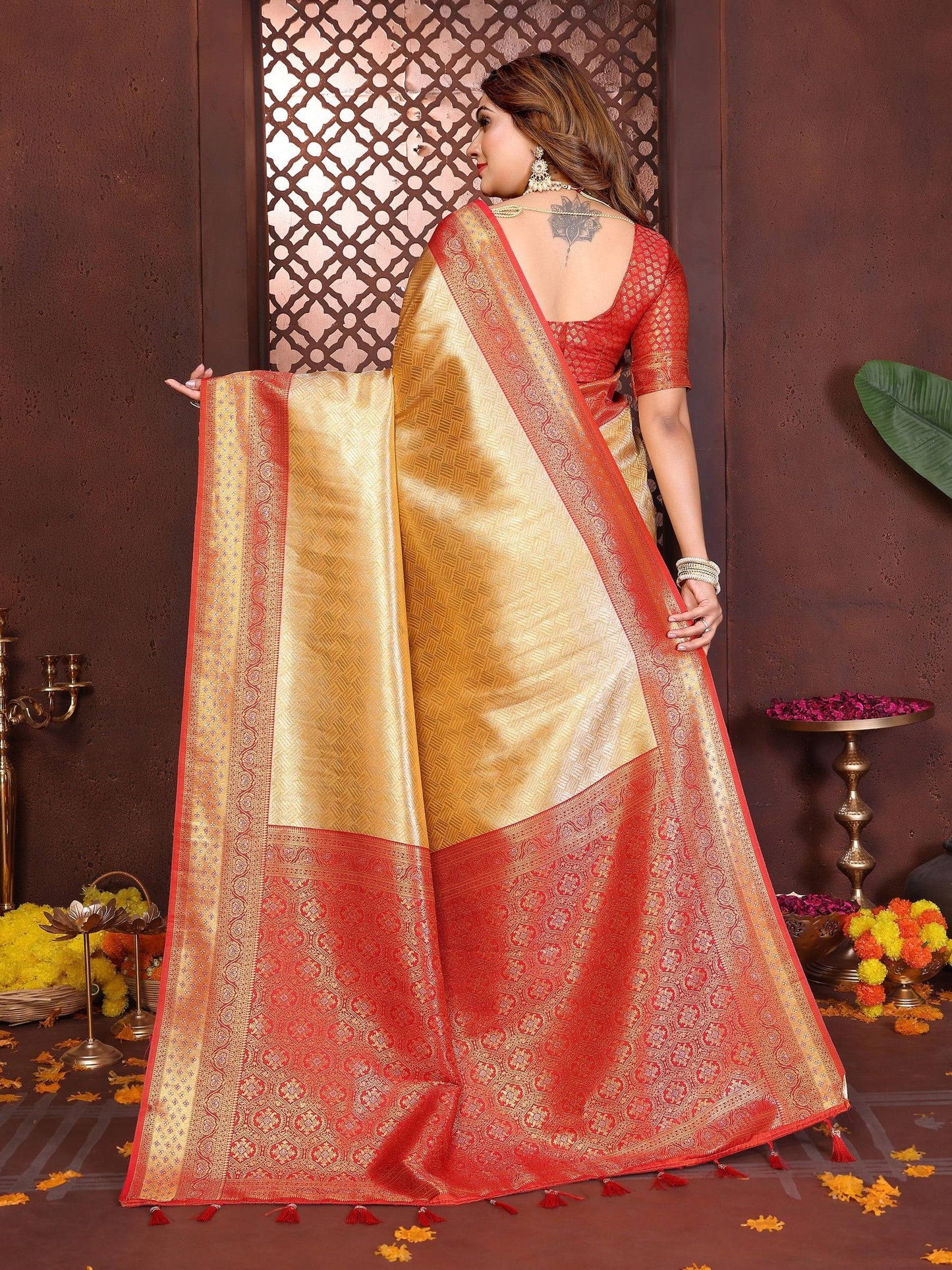 Anaita Banarasi Tissue Silk Saree