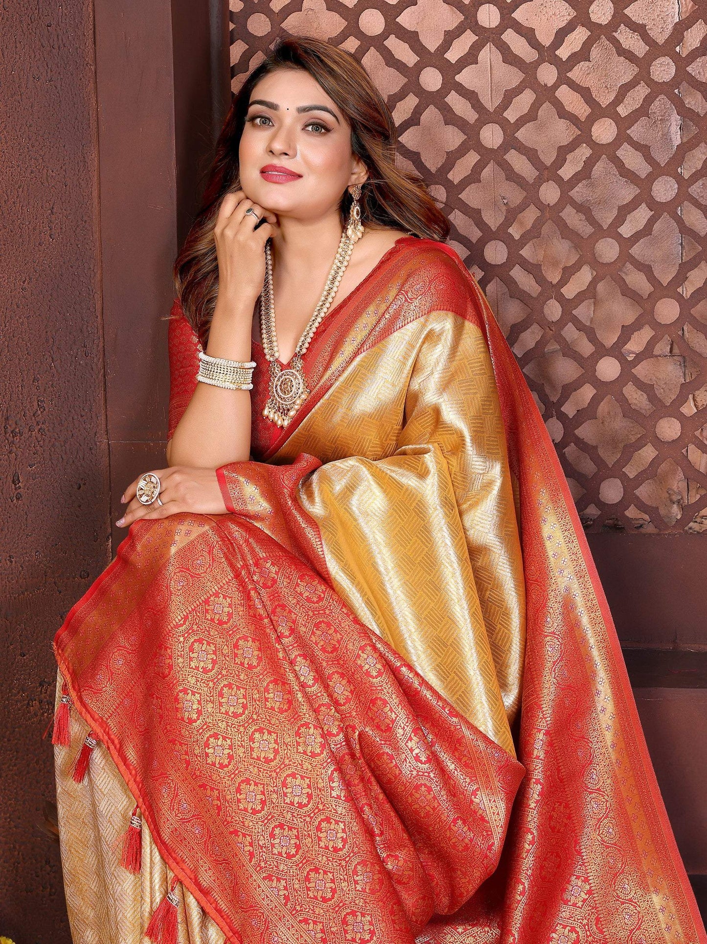 Anaita Banarasi Tissue Silk Saree