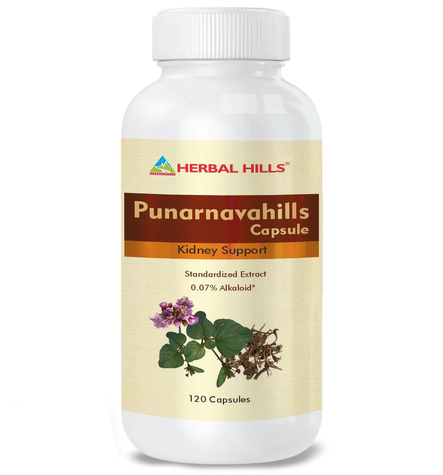 Herbal Hills Ayurveda Punarnavahills Capsules