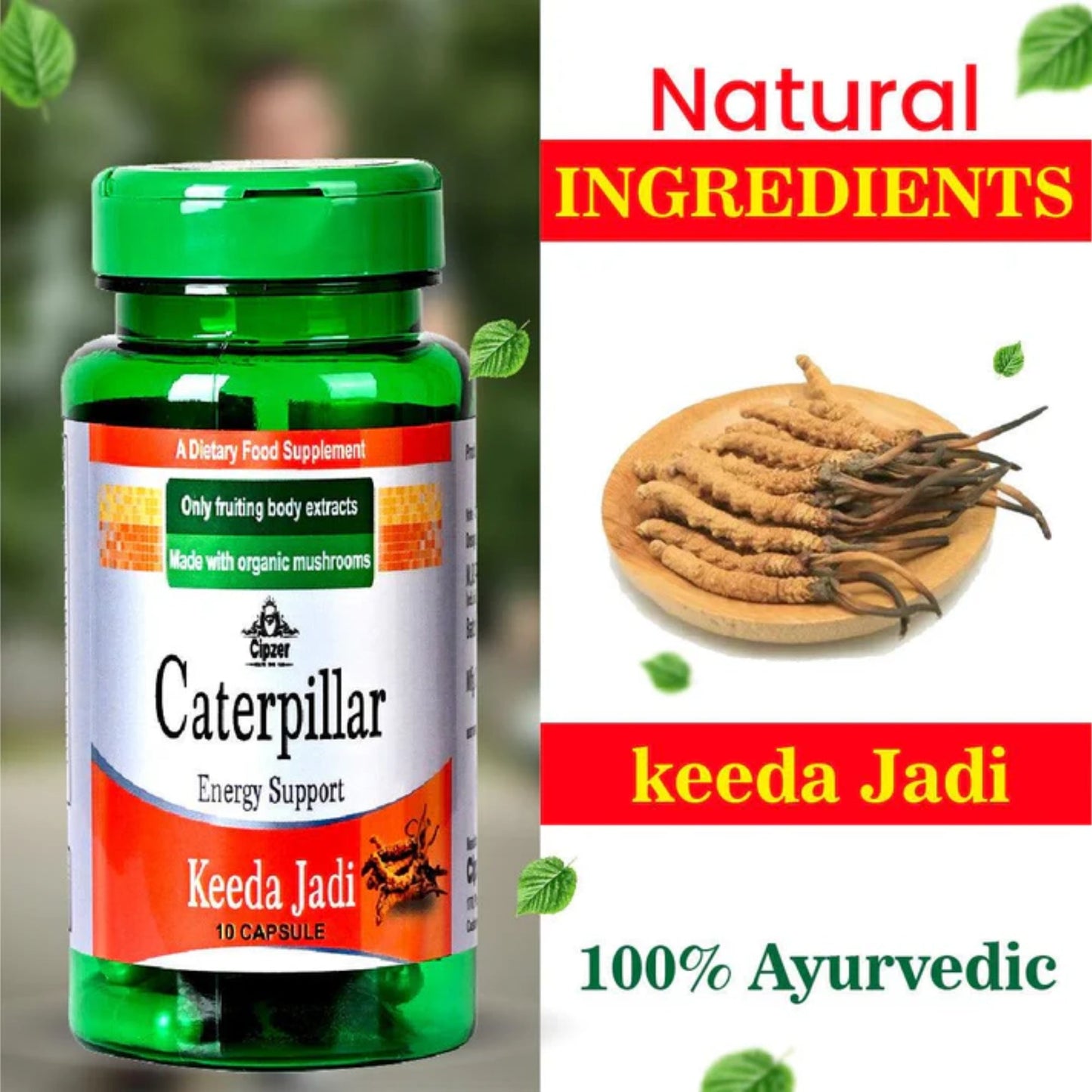 Cipzer Caterpillar Keeda Jadi Capsules