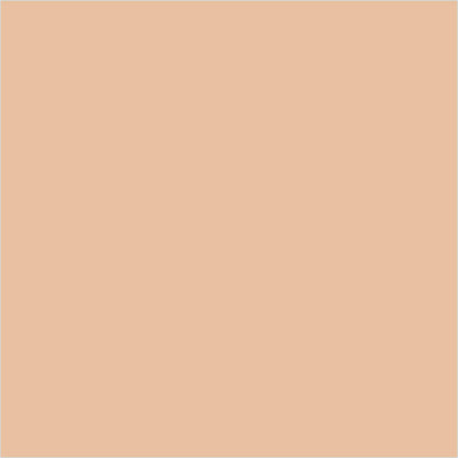 Colorbar 24Hrs Wear Weightless Powder Foundation Pf 7