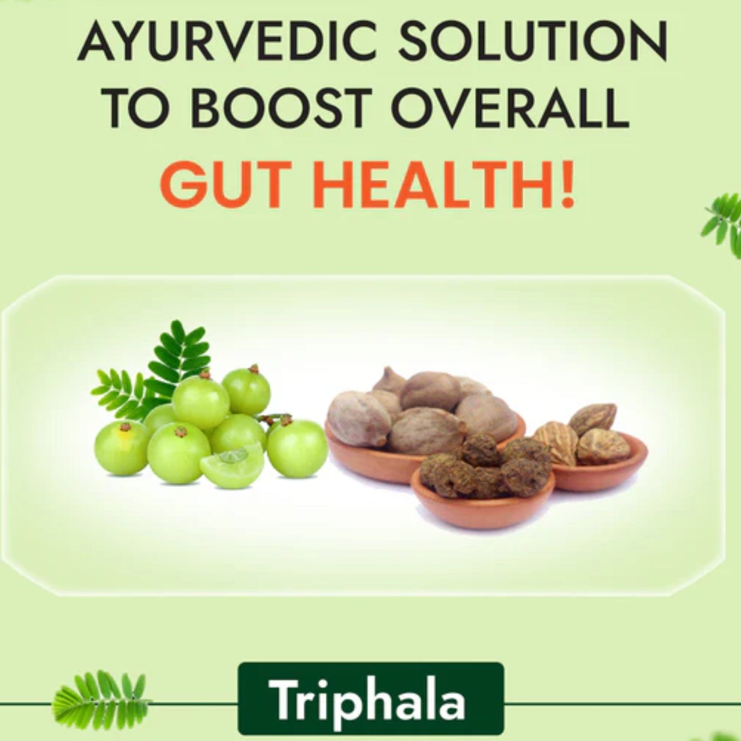 Cipzer Triphala Juice