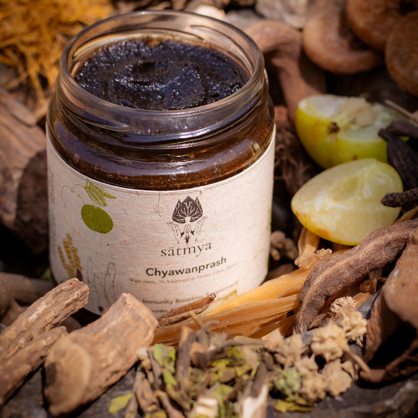 Satmya Chyawanprash