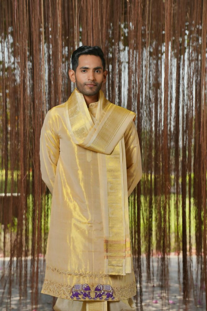 Gold Tissue Kanjivaram Machien Embroidered Pattu Set by Hilo Design