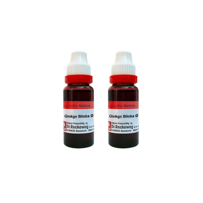 Dr. Reckeweg Ginkgo Biloba Mother Tincture Q