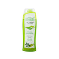 Dhathri Dheedhi Anti Dandruff Herbal Shampoo