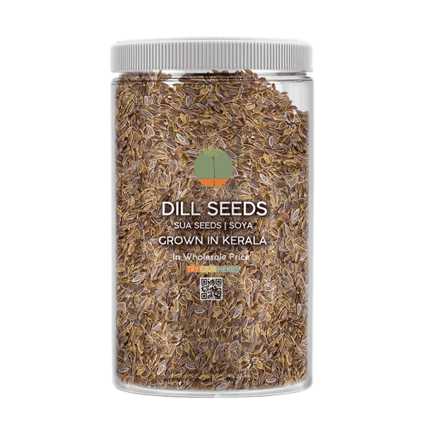Try Our Herbs Dill seeds