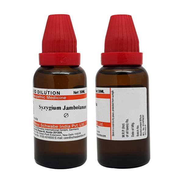 Dr. Willmar Schwabe India Syzygium Jambolanum Mother Tincture Q - 30 ml